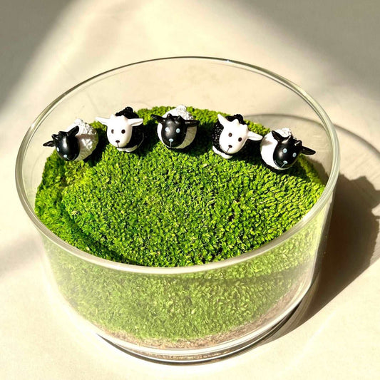 Mini Sheep Desktop Decoration Micro Landscape Lawn Handmade Preserved Moss Art