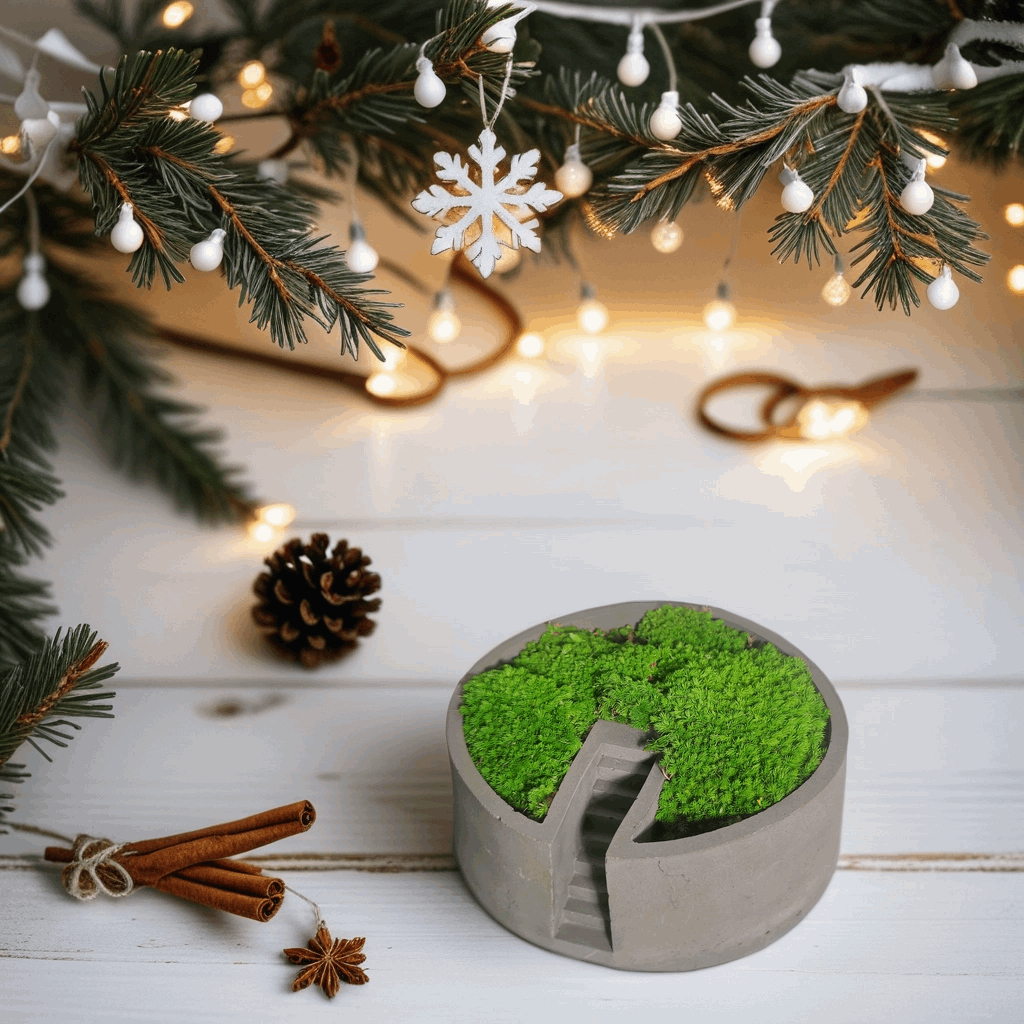 Circular Cement Moss Decor – Handcrafted Desktop Oasis