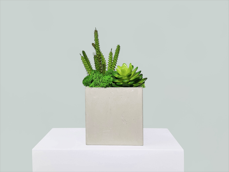 Contemporary Cement Planter with Preserved Moss and Faux SucculentsRevitalize your space with our stylish and low-maintenance plant arrangement. This chic piece features a unique combination of lush preserved moss and lifelike faux 