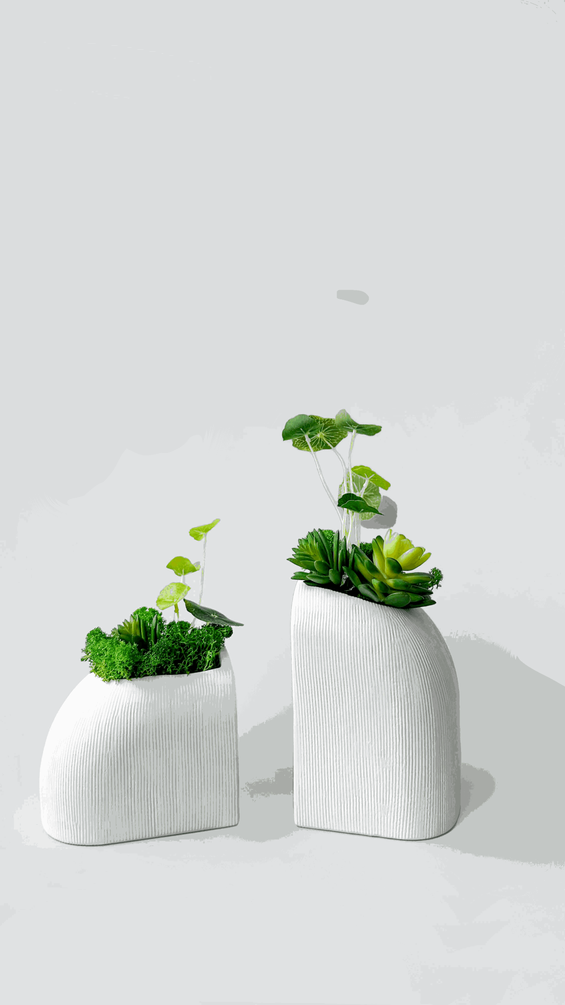 Elegance & Nature Tabletop Planter 2 Piece Set with Artificial Lotus &
Elevate your decor with our Elegance &amp; Nature Tabletop Planter Set. A serene marriage of artificial lotus leaves and preserved moss rests within two striking wh
