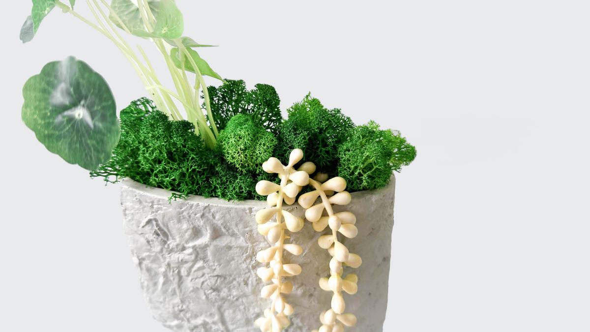 Lotus Leaf Moss Art - Textured Flat Vase Arrangement with Preserved MoUnveil the charm of effortless greenery with our Textured Flat Vase Arrangement. This stunning piece marries the lush, verdant allure of preserved moss with the endu