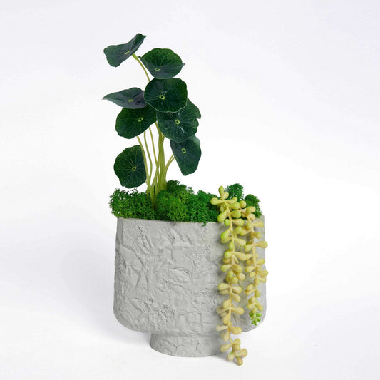 Lotus Leaf Moss Art - Textured Flat Vase Arrangement with Preserved MoUnveil the charm of effortless greenery with our Textured Flat Vase Arrangement. This stunning piece marries the lush, verdant allure of preserved moss with the endu