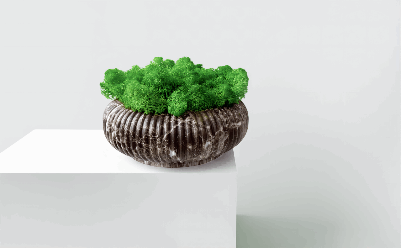 Marble-Pattern Circular Planter with Preserved Moss –  Moss Bowl Desktop Round Bonsai