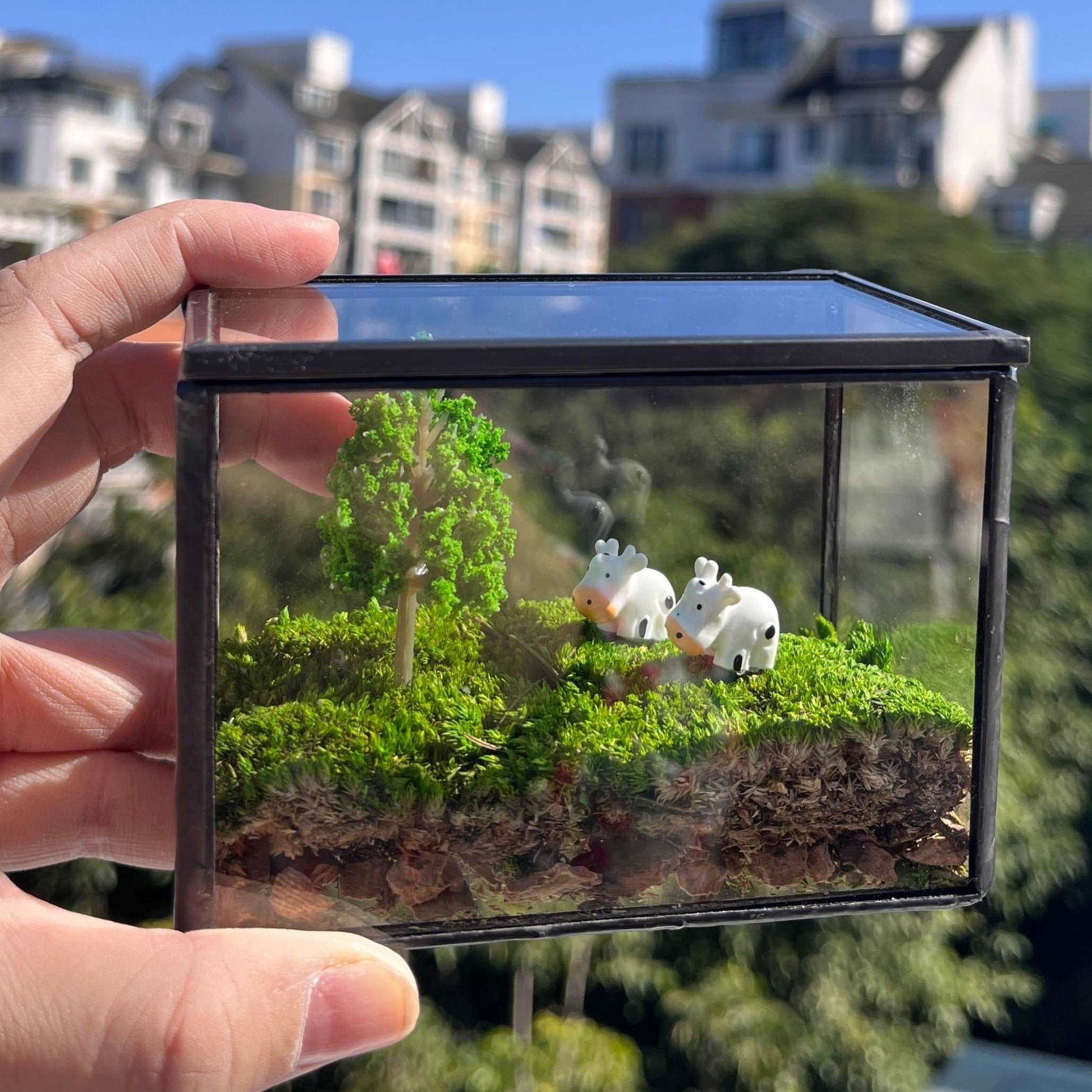 Micro Landscape Mini Cows Handmade Glass Terrarium Preserved Mossbox MAdd a dash of pastoral charm to your desk with our "Pastoral Play" Miniature Cow Scene, a handmade glass terrarium that combines the beauty of a glass terrarium with