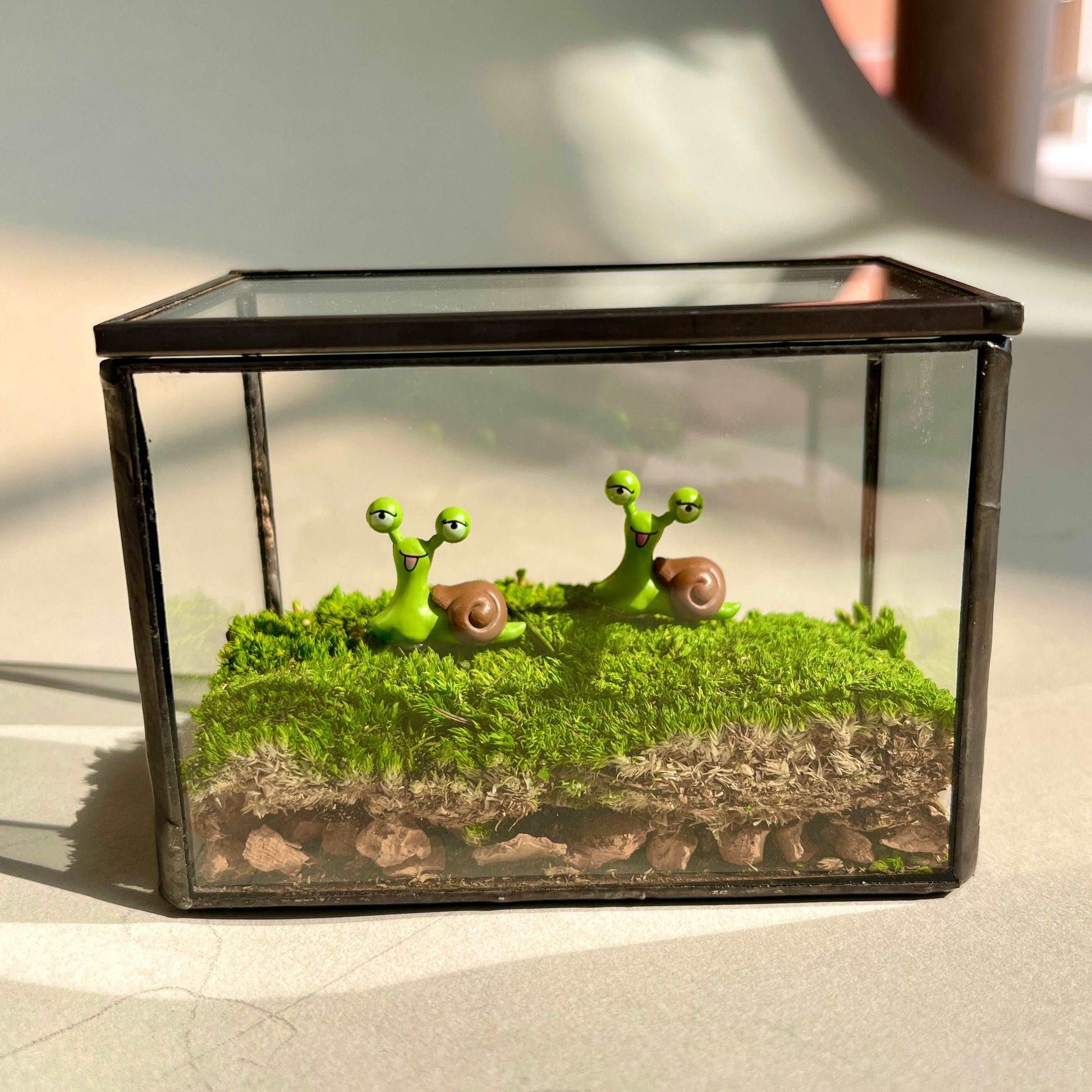 Smile Snail Desktop Decoration Micro Landscape Lawn Handmade Preserved Moss Art