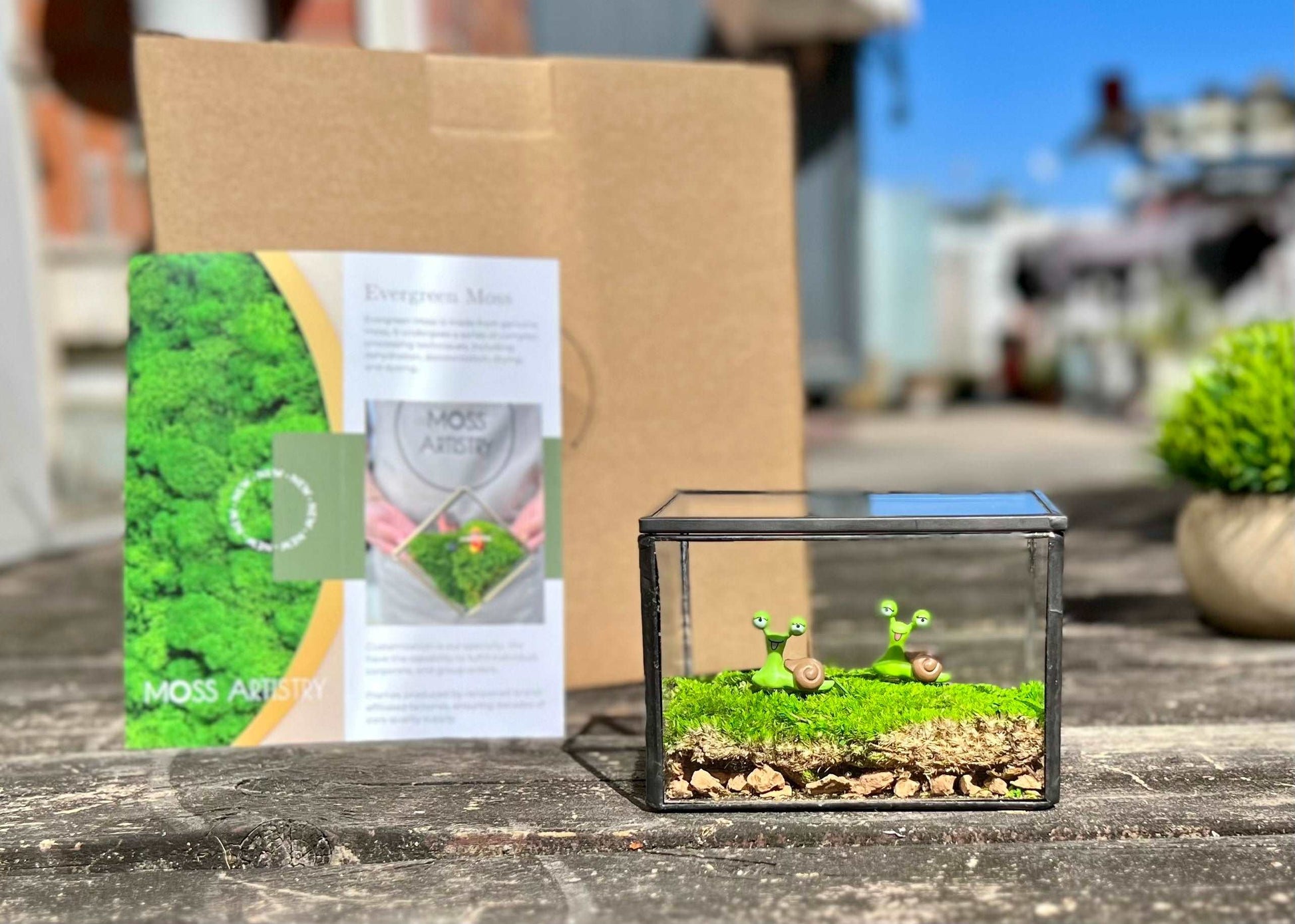 Smile Snail Desktop Decoration Micro Landscape Lawn Handmade Preserved Moss Art