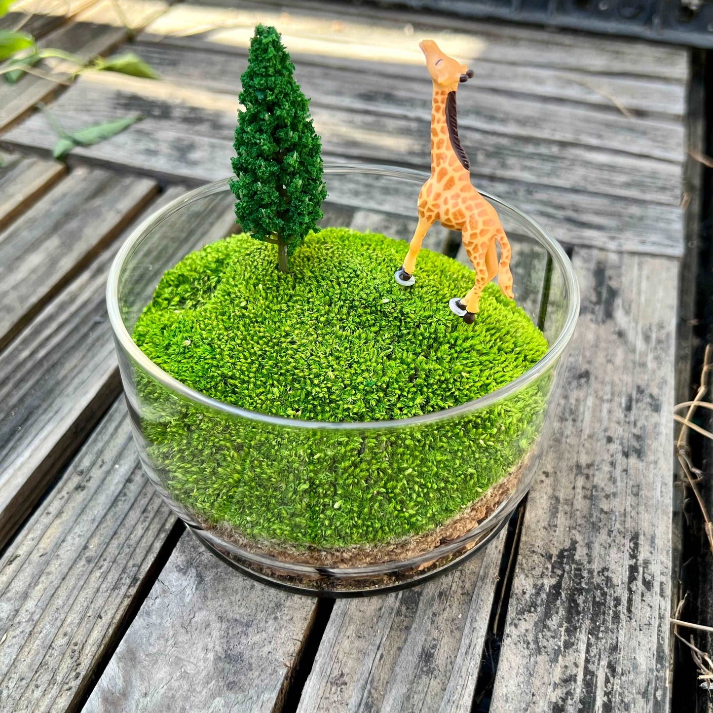 Handmade Terrarium Mini Giraffe Desktop Decoration Micro Landscape LawAre you tired of the monotony of your computer desktop? Say goodbye to boredom with our meticulously designed and handmade desktop decorations. Each product is craft