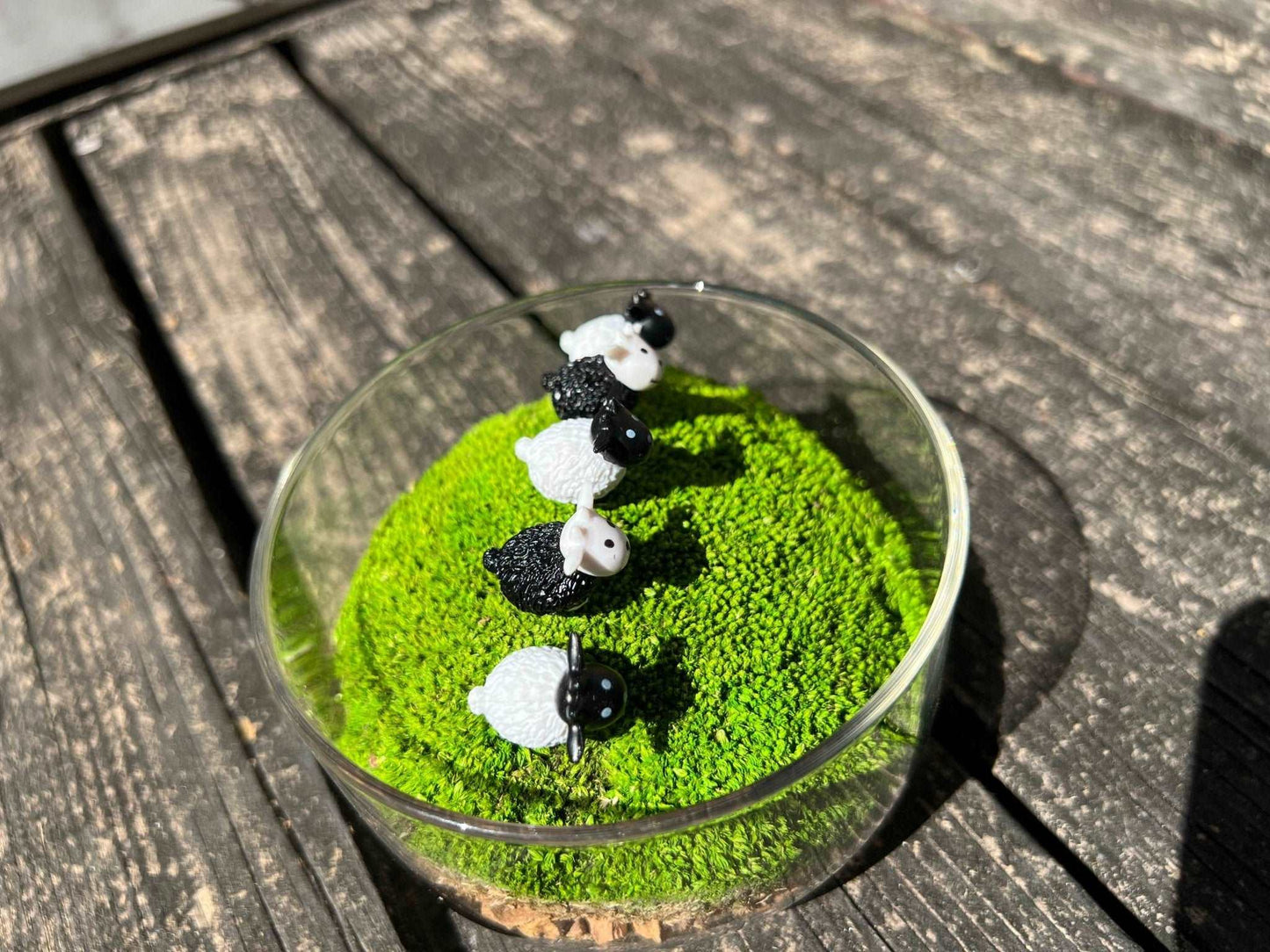 Mini Sheep Desktop Decoration Micro Landscape Lawn Handmade Preserved Moss Art