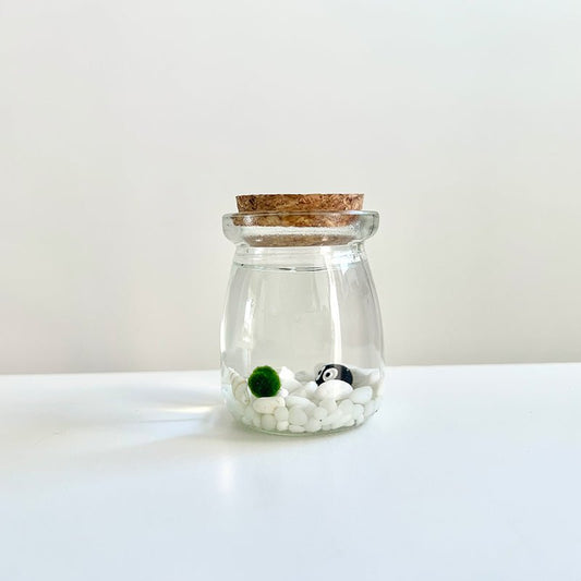 Live Moss Balls Mini Aquarium JarSpecification:
3"x2.2" Glass Jar * 1
Marimo Live Moss Ball * 1
White Pebbles Bag * 1
Name Card and wood stander * 1
Stick * 1
Smaller Tweezer * 1
Simple Care Instruc