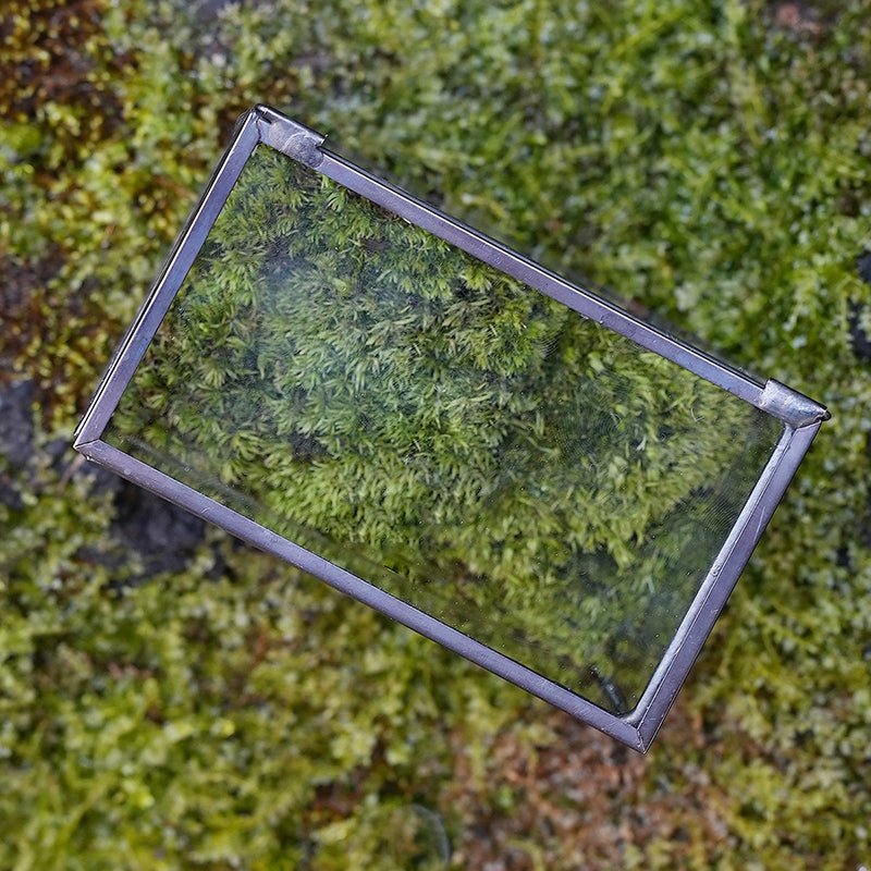 Terrarium Jar - Rectangle Glass Terrarium with Lid (No Plants) - Glass Container