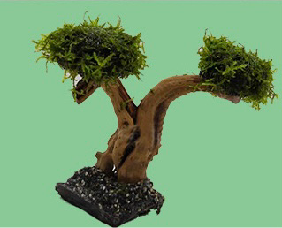 Moss Tree Chunks with Foam Head