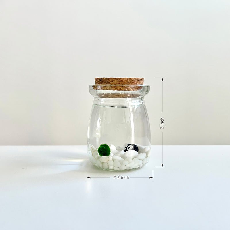 Live Moss Balls Mini Aquarium JarSpecification:
3"x2.2" Glass Jar * 1
Marimo Live Moss Ball * 1
White Pebbles Bag * 1
Name Card and wood stander * 1
Stick * 1
Smaller Tweezer * 1
Simple Care Instruc