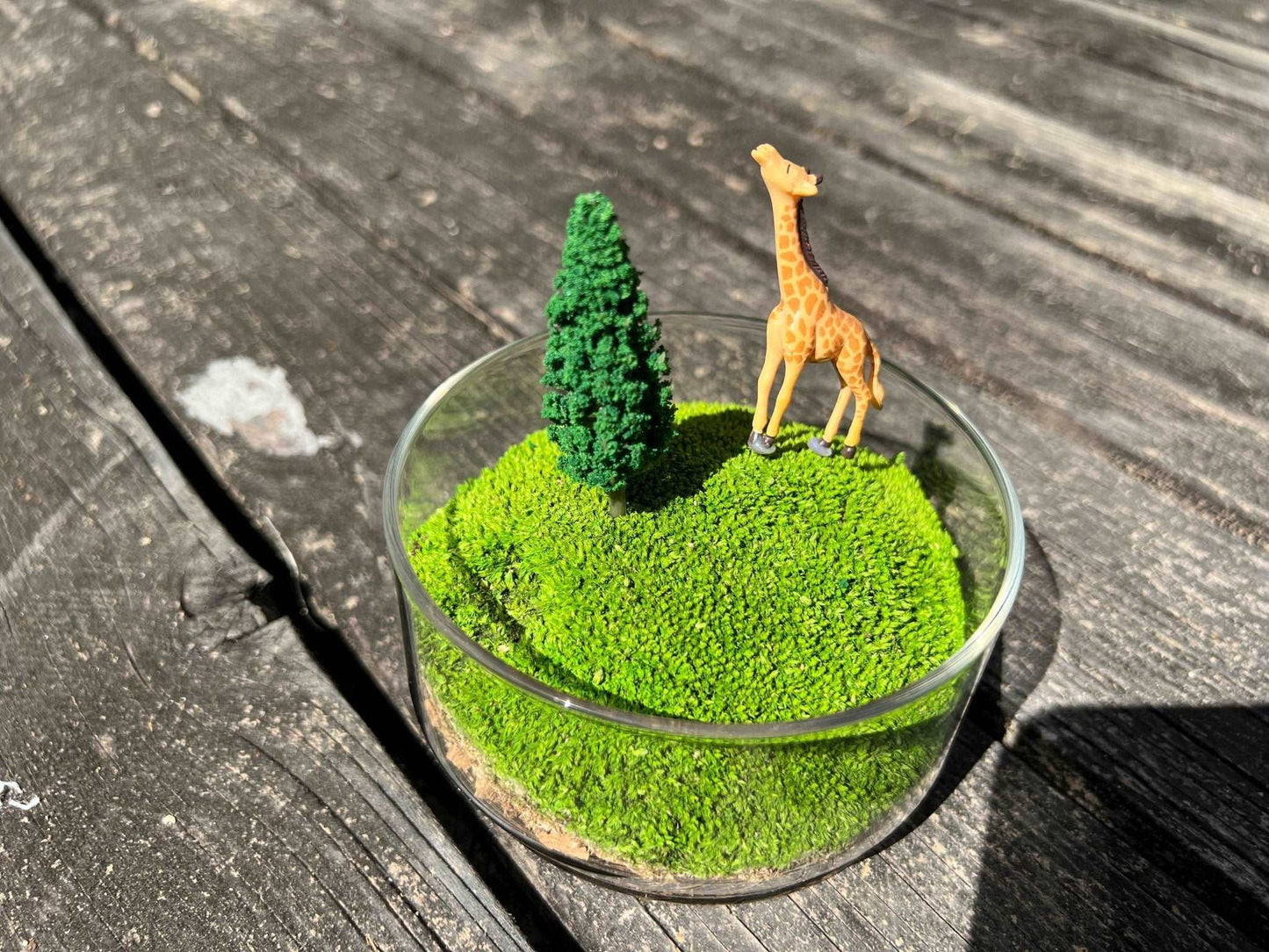 Handmade Terrarium Mini Giraffe Desktop Decoration Micro Landscape LawAre you tired of the monotony of your computer desktop? Say goodbye to boredom with our meticulously designed and handmade desktop decorations. Each product is craft