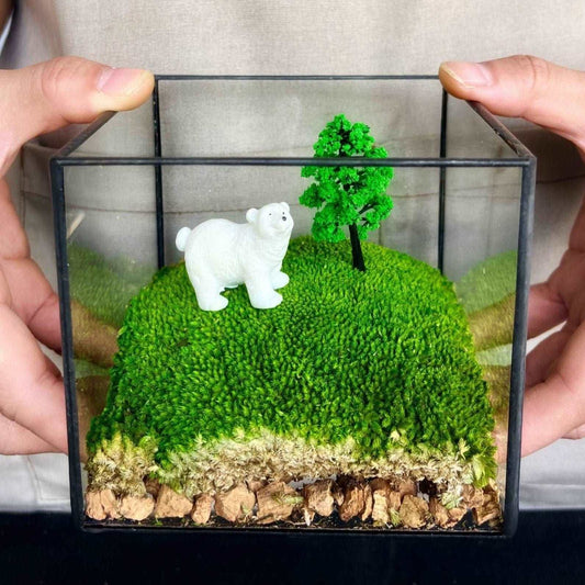 White Lost Bear Mossbox - Middle Size Micro Landscape in Square Glass