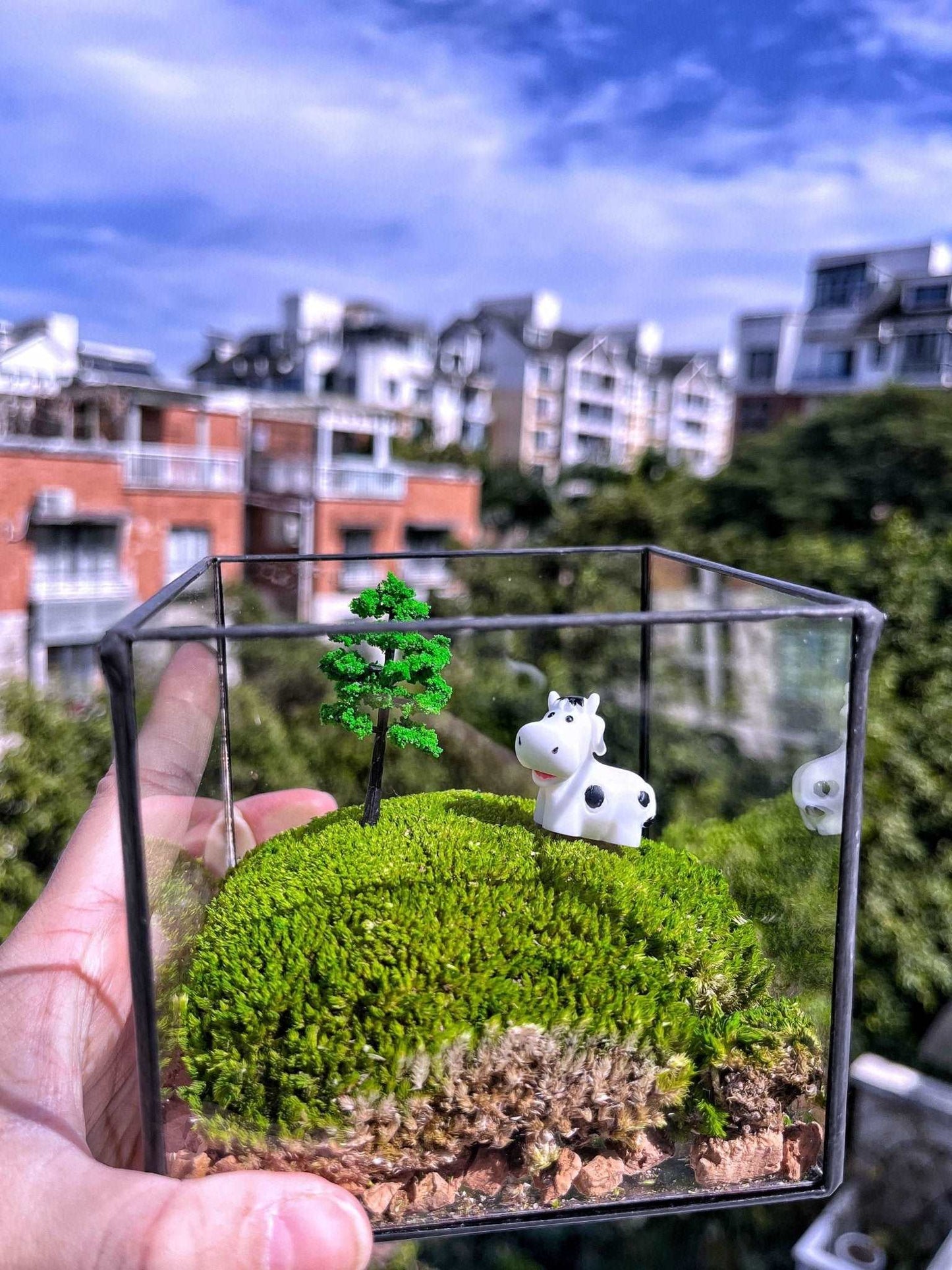 Handmade Glass Terrarium Mossbox Happy Chubby Cow Micro Landscape withElevate your workspace with the "Happy Chubby Cow" Handmade Glass Terrarium - a whimsical creation that captures the pastoral charm within a large square glass conta