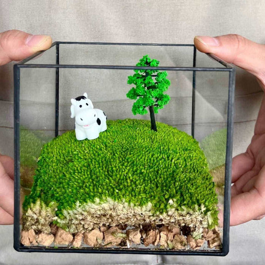 Handmade Glass Terrarium Mossbox Happy Chubby Cow Micro Landscape withElevate your workspace with the "Happy Chubby Cow" Handmade Glass Terrarium - a whimsical creation that captures the pastoral charm within a large square glass conta