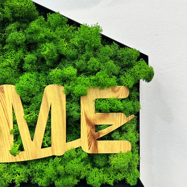 "HOME" Letters Moss Art Iron Hook Decoration – Housewarming Gem, An IdWelcome warmth and sustainability into your abode with the "HOME" Letters Moss Art Iron Hook Decoration, a testament to eco-friendly elegance and artistic flair. Cra