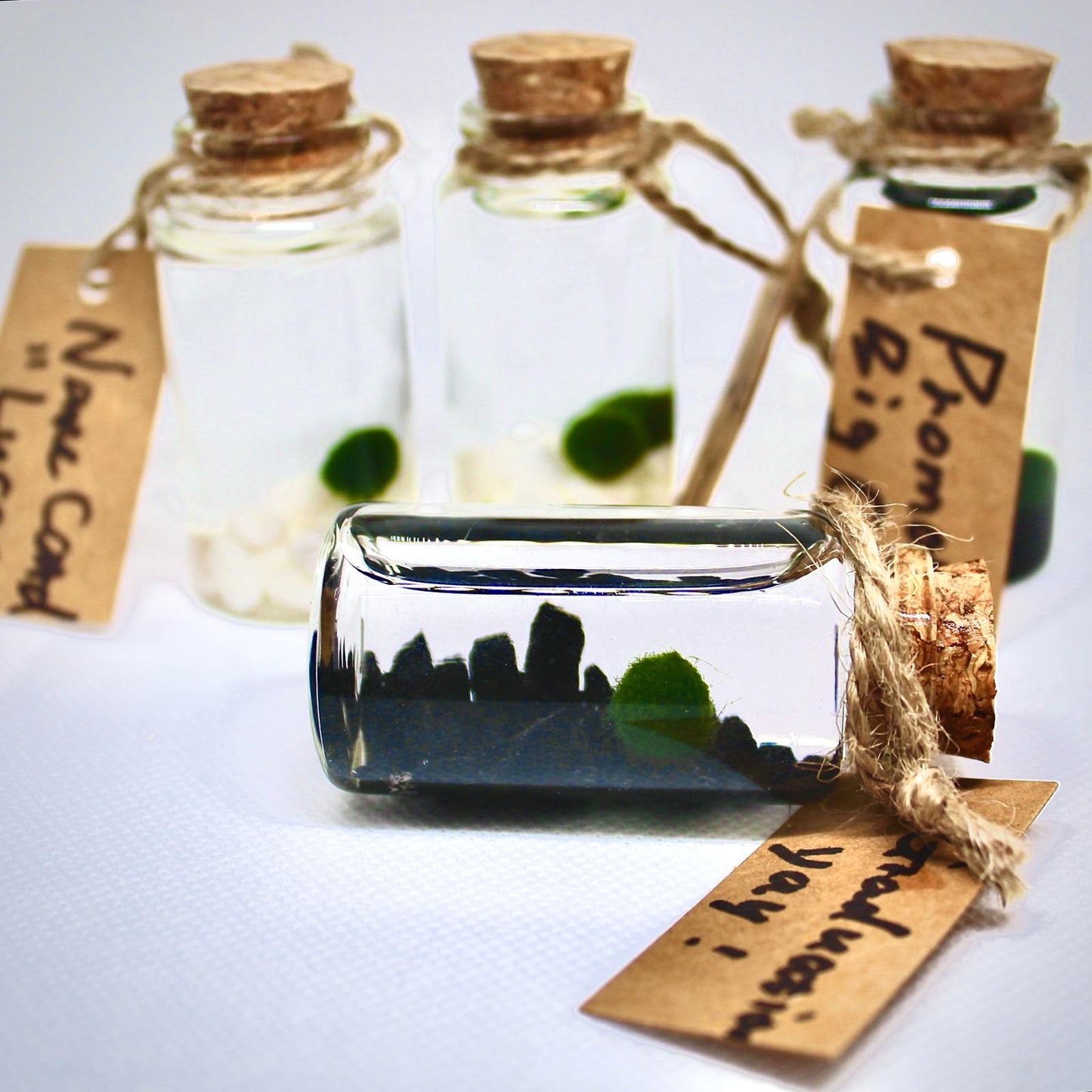 Live Mini Marimo Moss Ball White and Black Pebbles Glass Bottle Glass Specification:
0.8-1.5cm Marimo Live Moss Ball * 1
(Optional: adding more marimo...)
White/Black Pebbles Bag *1
String *1
Name Card *1
Tweezer *1
Simple Care Instruc