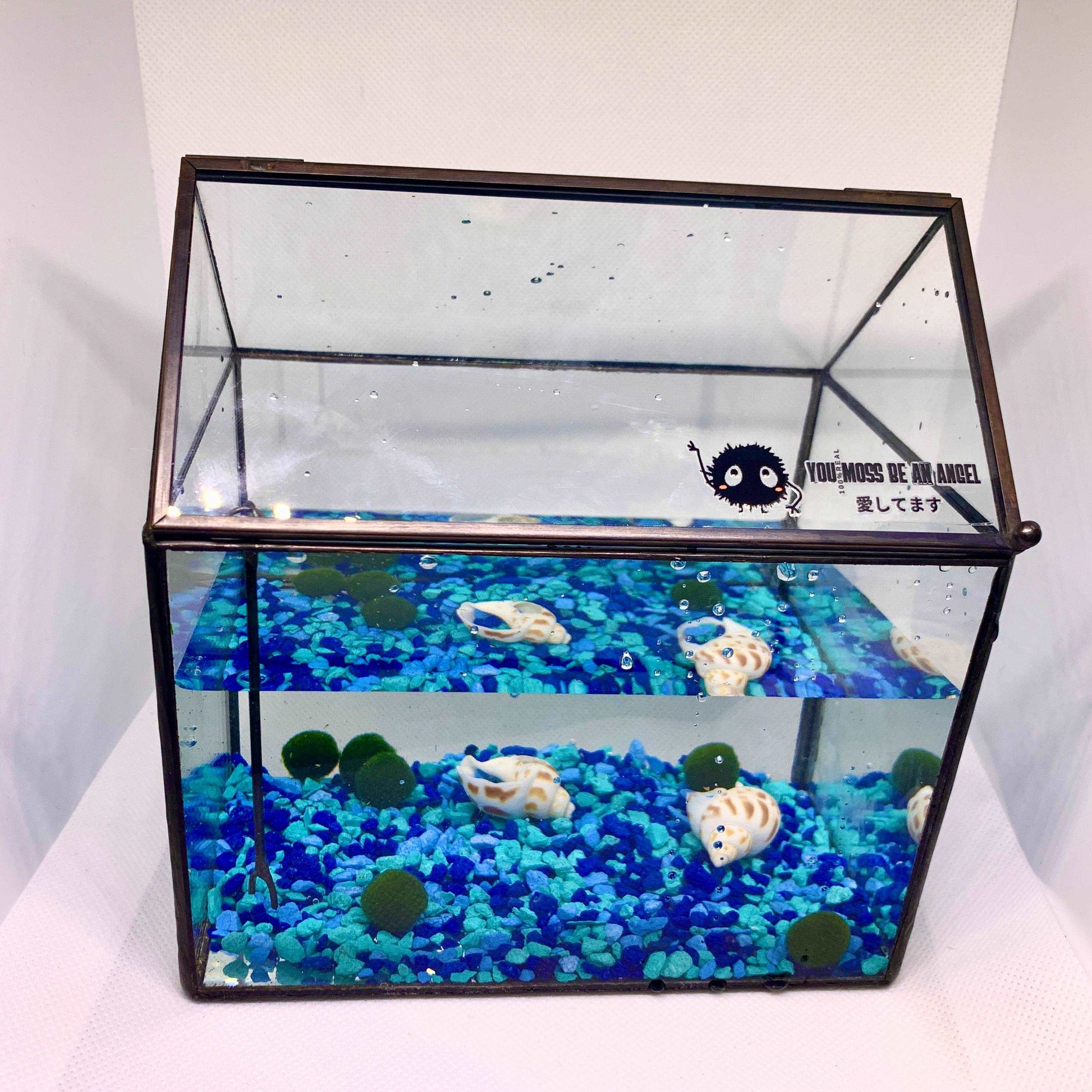 Moss Balls Pet Aquarium Kit 5 PCS Marimo House Shape Glass Terrarium