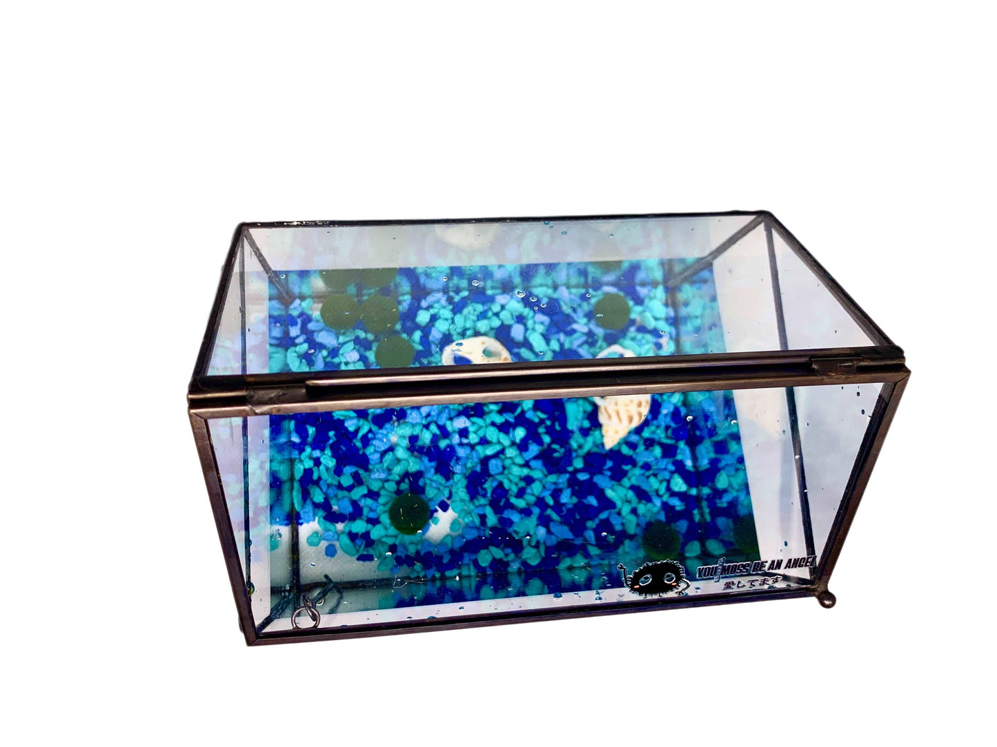 Moss Balls Pet Aquarium Kit 5 PCS Marimo House Shape Glass Terrarium