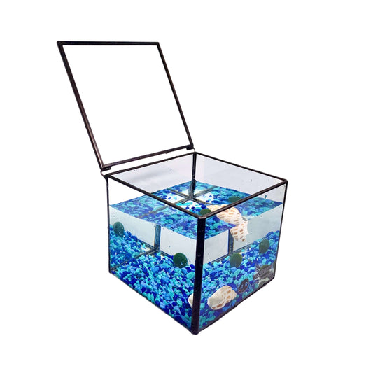 Aquarium 2PCS Moss Balls Marimo Square Glass Terrarium With Lid Mini DPerfect gift with a label for you to raise a pet and name it as plant beginners; or send a gift when a friend is promoted, or graduation gift, first meet day for cou