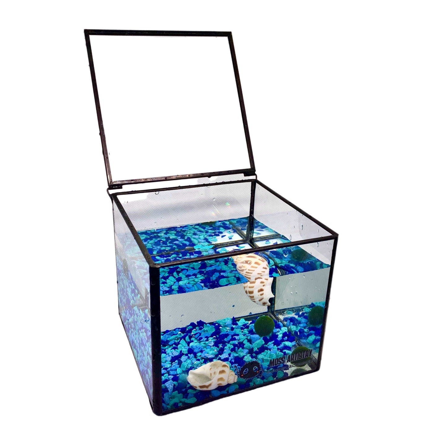 Aquarium 2PCS Moss Balls Marimo Square Glass Terrarium With Lid Mini DPerfect gift with a label for you to raise a pet and name it as plant beginners; or send a gift when a friend is promoted, or graduation gift, first meet day for cou