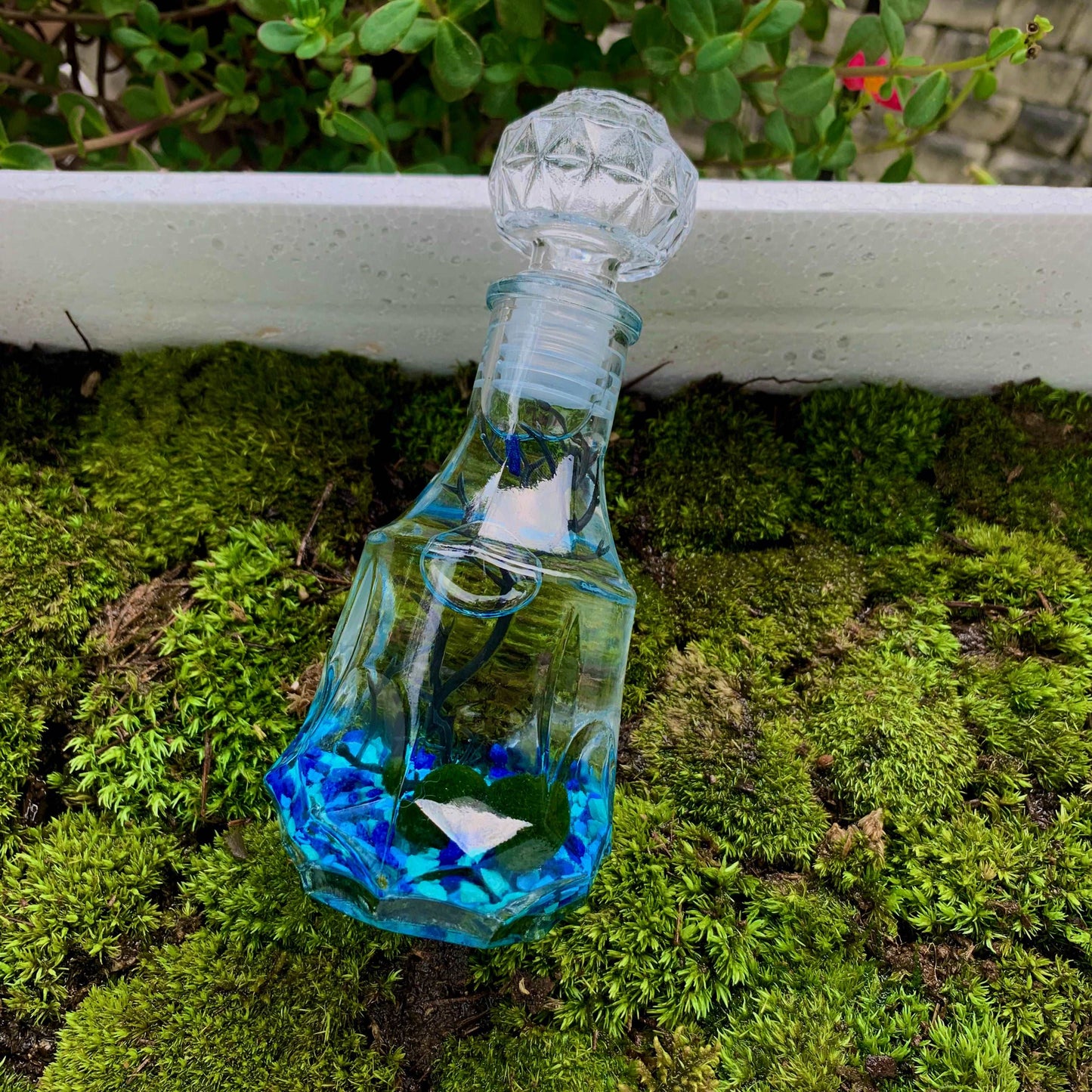 Romantic Marimo Moss Balls Glass Bottle Aquarium With Lid Love Plants for Beginners for Couples Blue