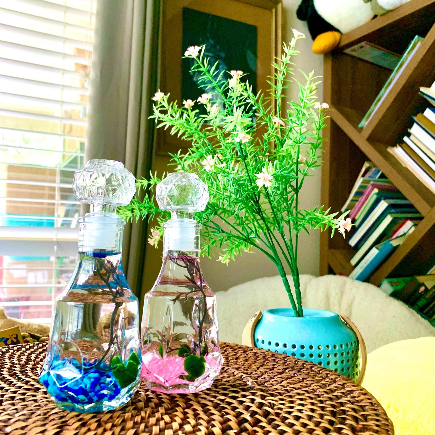 Romantic Marimo Moss Balls 2PCS Set Glass Bottle Aquarium With Lid Love Plants for Beginners for Couples