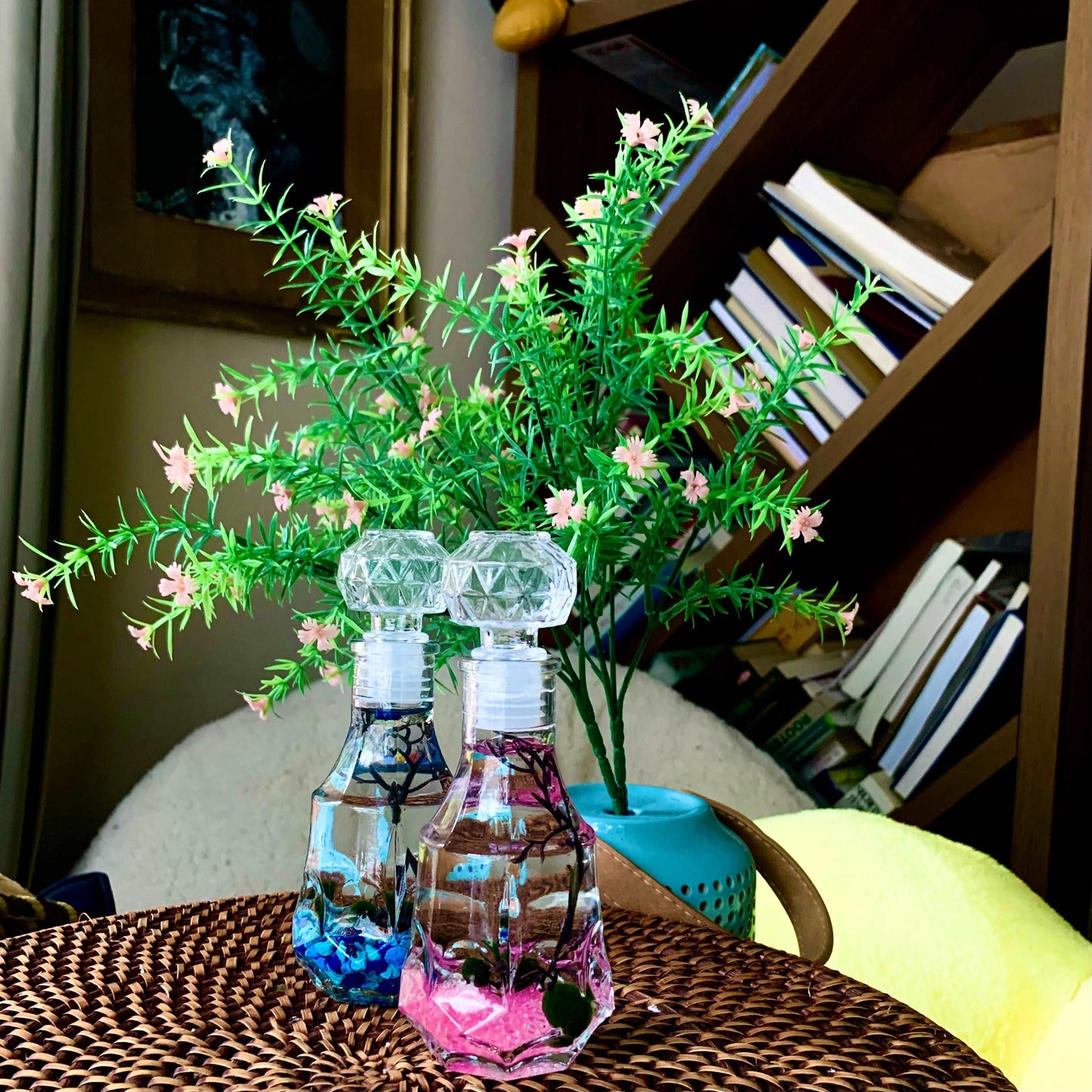 Romantic Marimo Moss Balls 2PCS Set Glass Bottle Aquarium With Lid Love Plants for Beginners for Couples