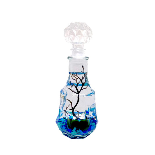 Moss Ball Aquarium Romantic Marimo Moss Balls Glass Bottle Aquarium With Lid Love Plants for Beginners for Couples Blue