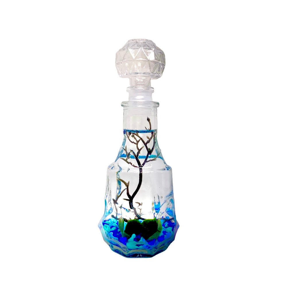 Moss Ball Aquarium Romantic Marimo Moss Balls Glass Bottle Aquarium With Lid Love Plants for Beginners for Couples Blue