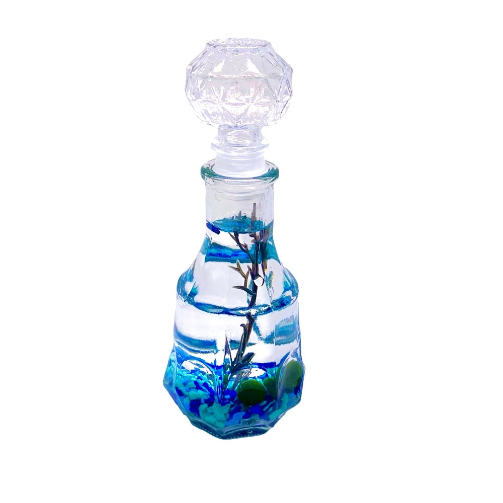 Romantic Marimo Moss Balls 2PCS Set Glass Bottle Aquarium With Lid Love Plants for Beginners for Couples - Moss Artistry