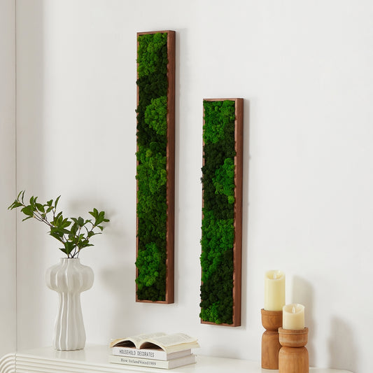 Modular Moss Art Strips with Iron Frame – Nature's Elegance Redefined Moss Art Hanging 2in set - Moss Artistry