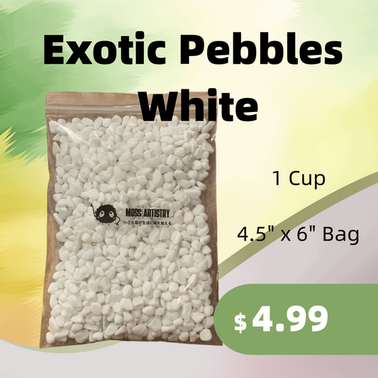 1 Cup Exotic Pebbles White Pebbles for Aquarium and Moss Ball Glass Te
Details












Perfectly suited for a broad variety of projects, including pet enclosures, terrariums, freshwater and marine aquariums, and more.
100% natural 