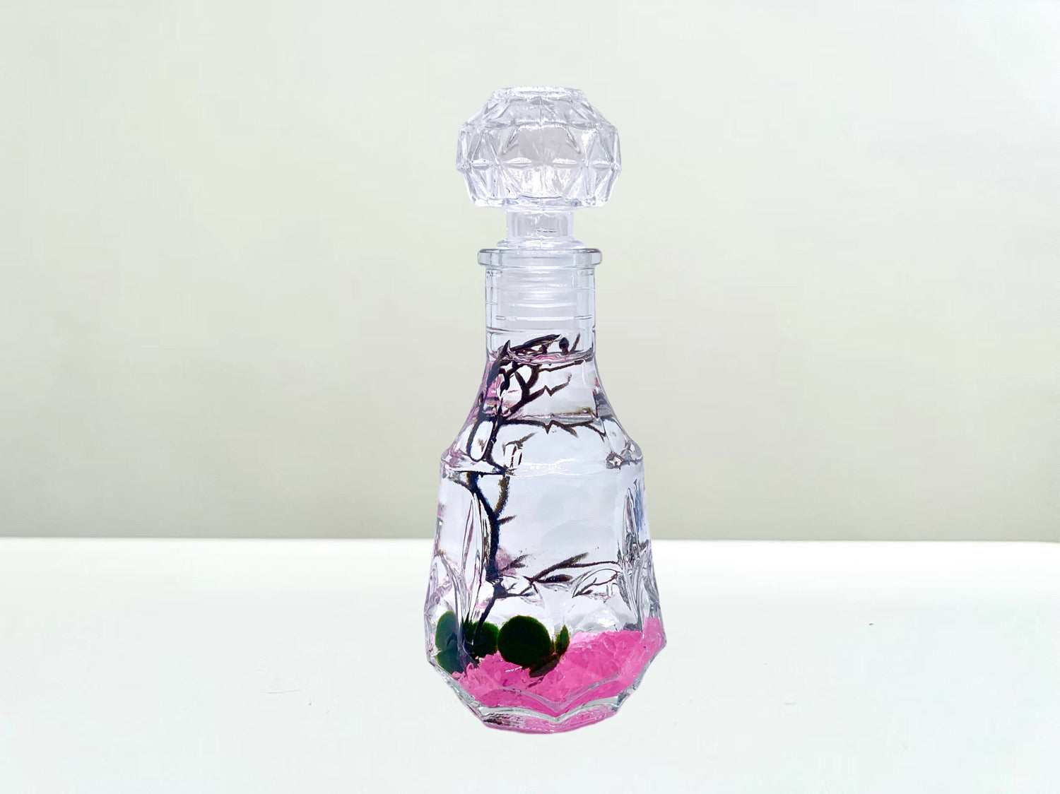 Romantic Marimo Moss Balls Glass Bottle Aquarium With Lid Love Plants for Beginners for Couples - Moss Artistry
