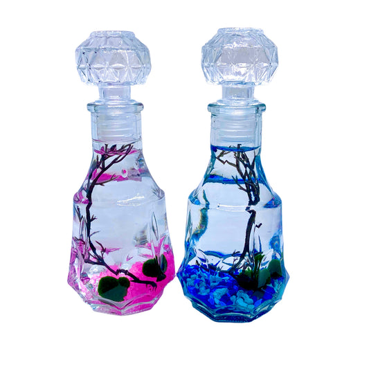 Romantic Marimo Moss Balls 2PCS Set Glass Bottle Aquarium With Lid Love Plants for Beginners for Couples - Moss Artistry