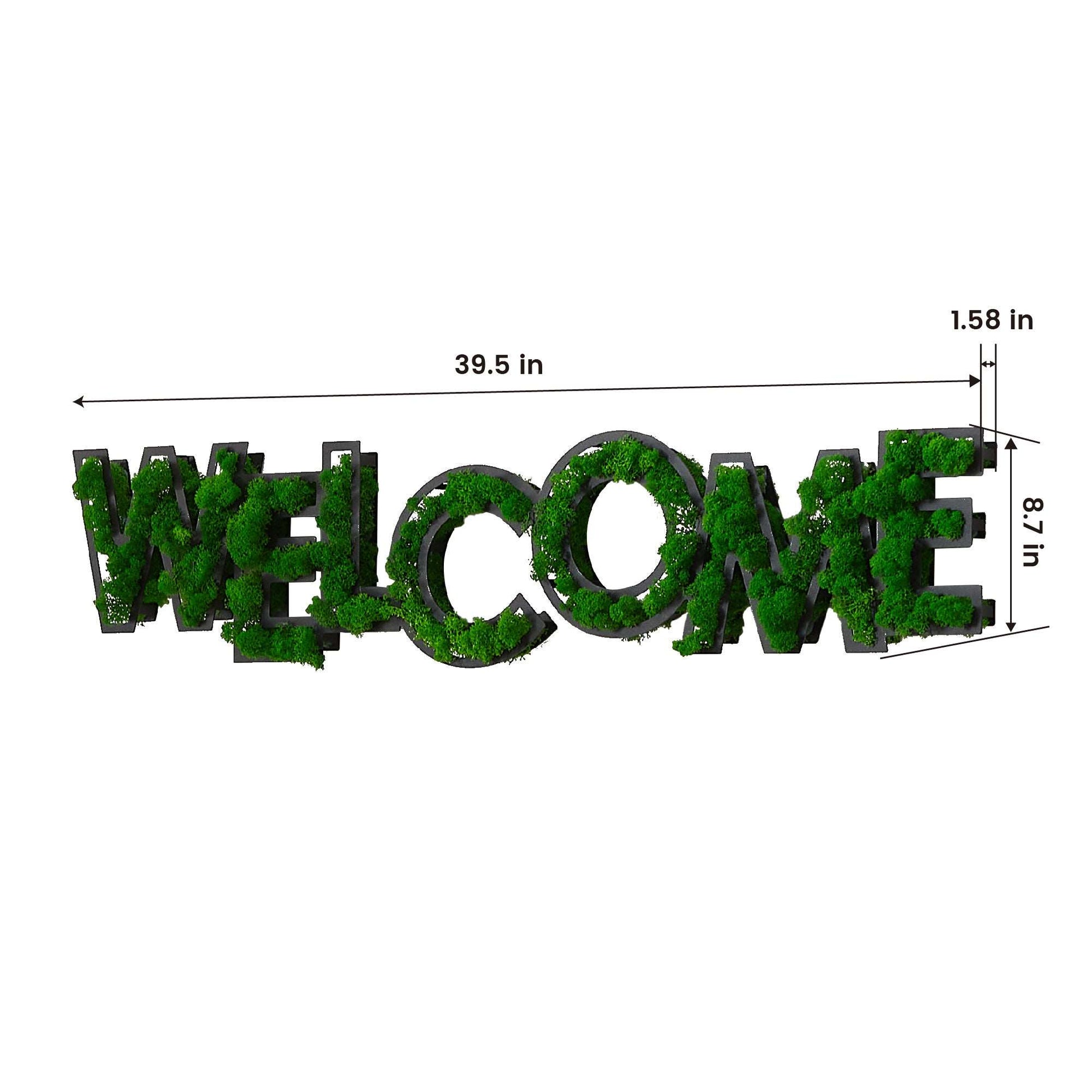 "WELCOME" Preserved Moss Wall Art in Wrought Iron Frame